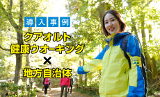 導入実績