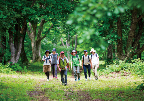 上山市提供：蔵王高原坊平でのウオーキング